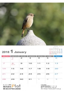 2018年の野鳥カレンダー