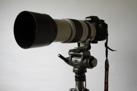 EOS 7D MarkⅡ+EF100-400mm F4.5-5.6L IS II USM