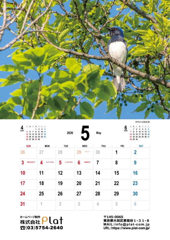 2026年5月のカレンダーは洗足池のオオルリ