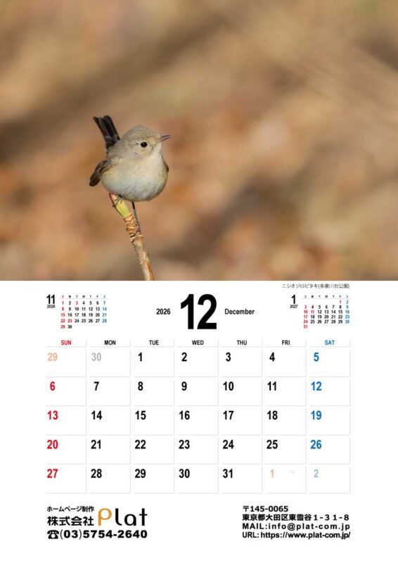 2026年12月のカレンダーは多摩川台公園のニシオジロビタキ