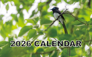 2026年のカレンダー
