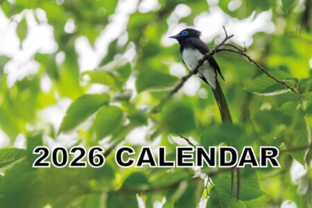 2026年のカレンダー