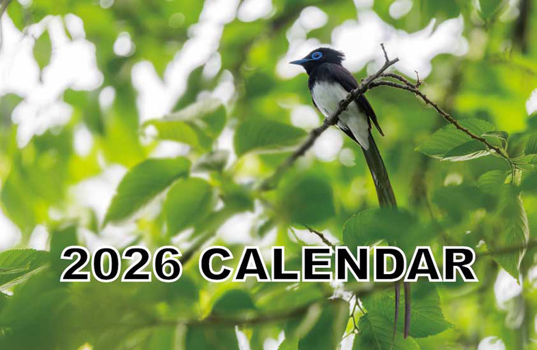 2026年のカレンダー