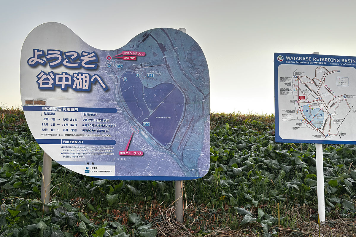 渡良瀬遊水地の北エントランス