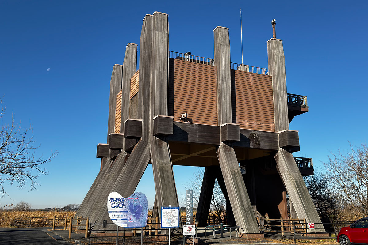 渡良瀬遊水地のウオッチングタワー